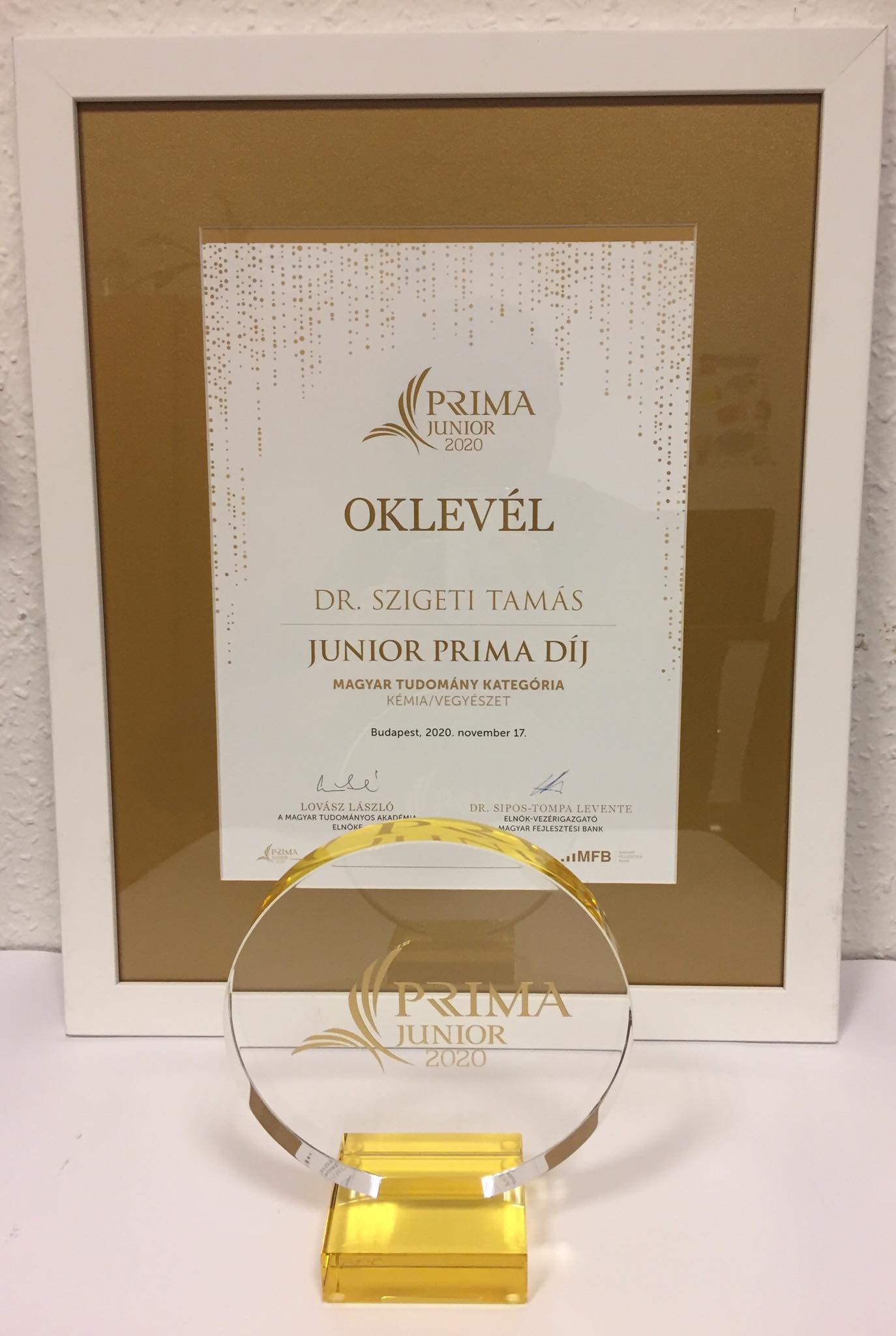 Junior Prima díj Dr. Szigeti Tamás