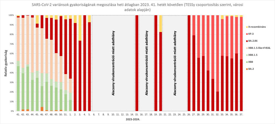 integralt leguti 2024 39 1