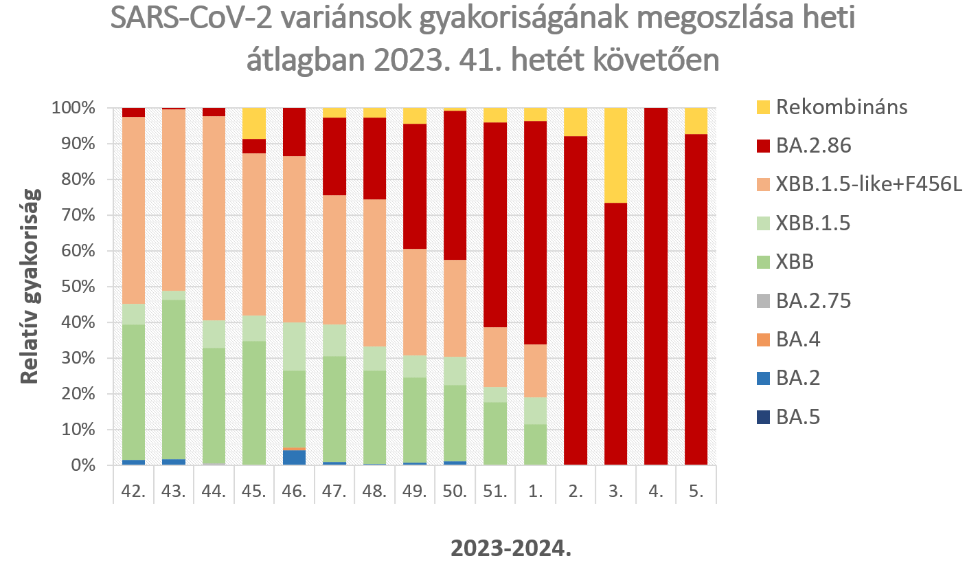 leguti 2024 08 1