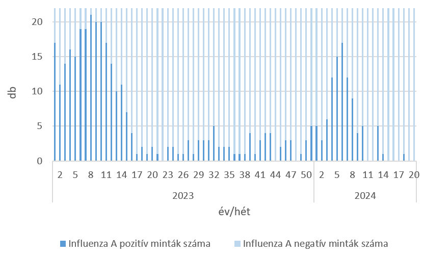 szennyviz 2024 20 6
