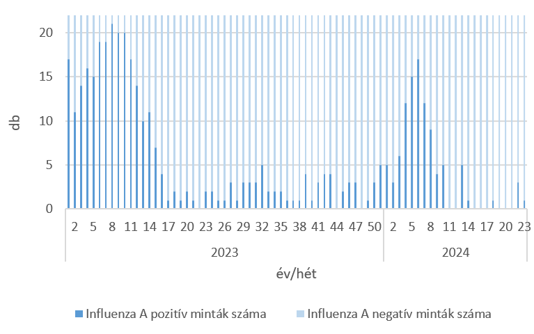 szennyviz 2024 23 6