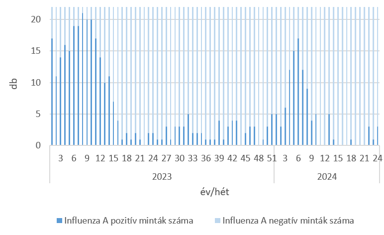 szennyviz 2024 24 6