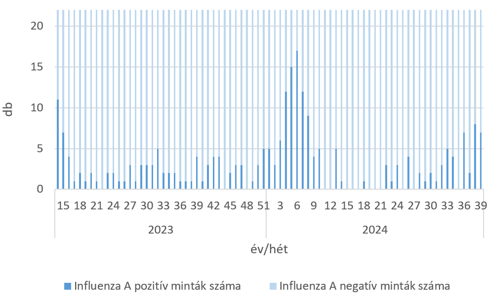 szennyviz 2024 39 6