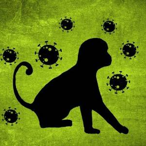 Újabb két főnél igazolták a majomhimlő fertőzést