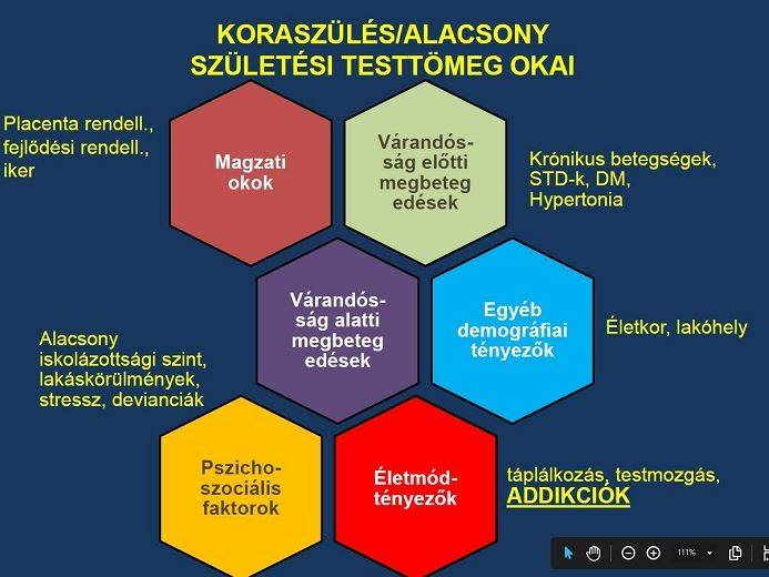 VI. hírlevél kép2